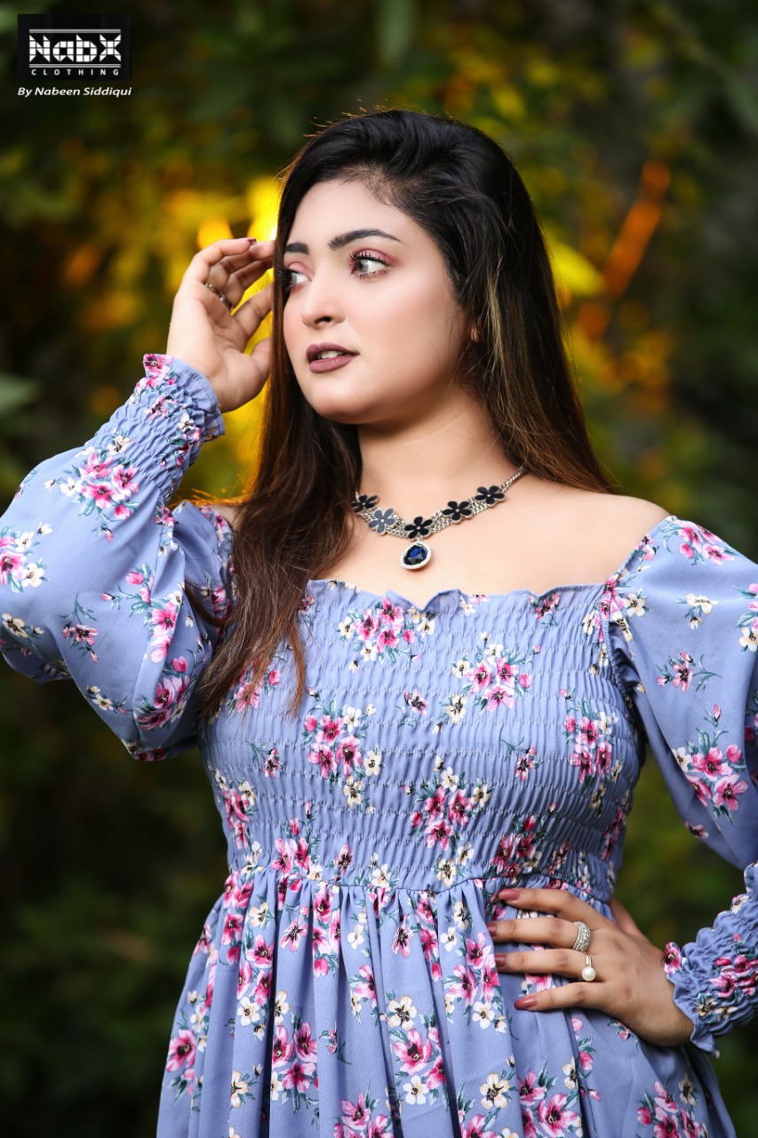 Georgette Long Frock - Nabx019